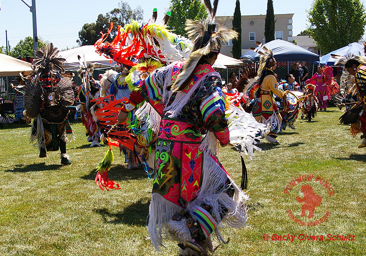 powwow-photos-powwows-calendar-native-american