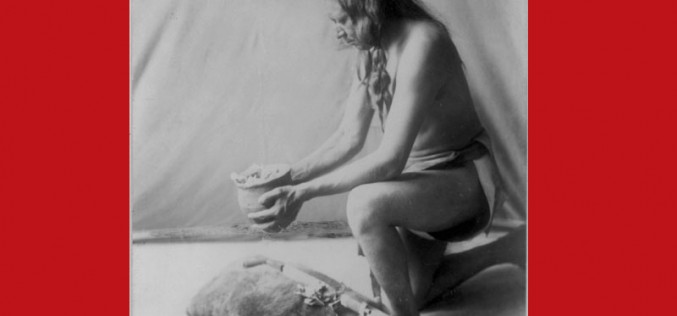 Native American Medicine: 31 Forgotten Cures