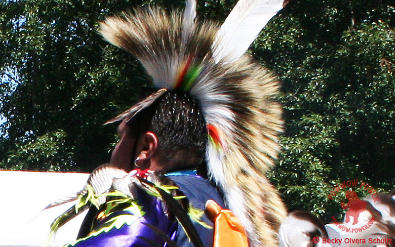 Native American porcupine quilled powwow hair ties Lakota Rosebud