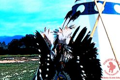 Upcoming August Powwows 2016